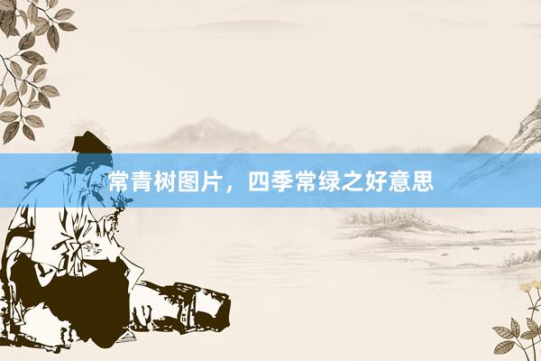 常青树图片，四季常绿之好意思