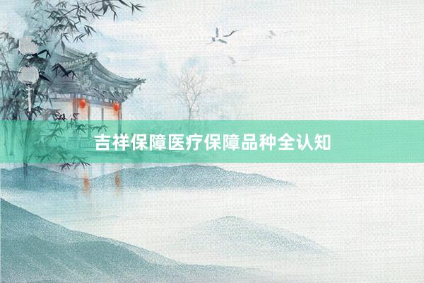 吉祥保障医疗保障品种全认知