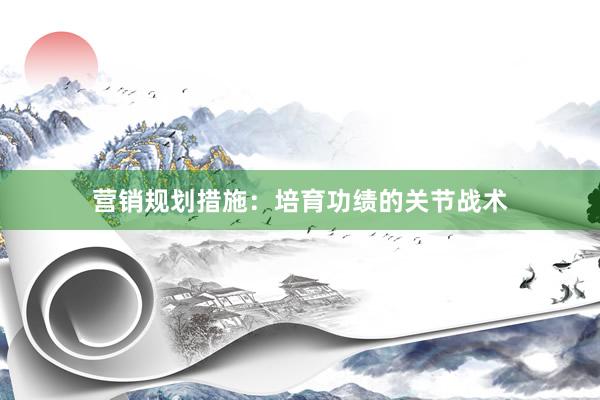 营销规划措施：培育功绩的关节战术