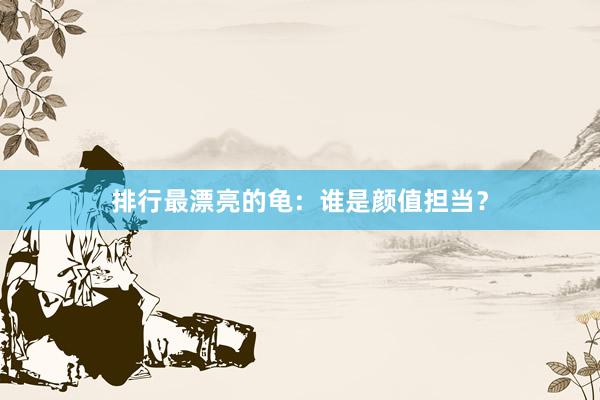 排行最漂亮的龟：谁是颜值担当？